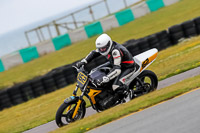 PJ-Motorsport-2019;anglesey-no-limits-trackday;anglesey-photographs;anglesey-trackday-photographs;enduro-digital-images;event-digital-images;eventdigitalimages;no-limits-trackdays;peter-wileman-photography;racing-digital-images;trac-mon;trackday-digital-images;trackday-photos;ty-croes